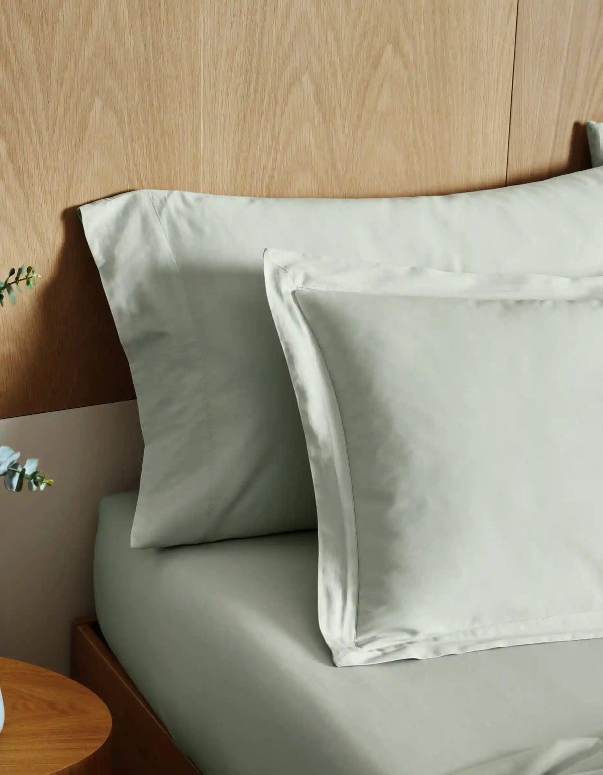 Soft-Wash Cotton Shams