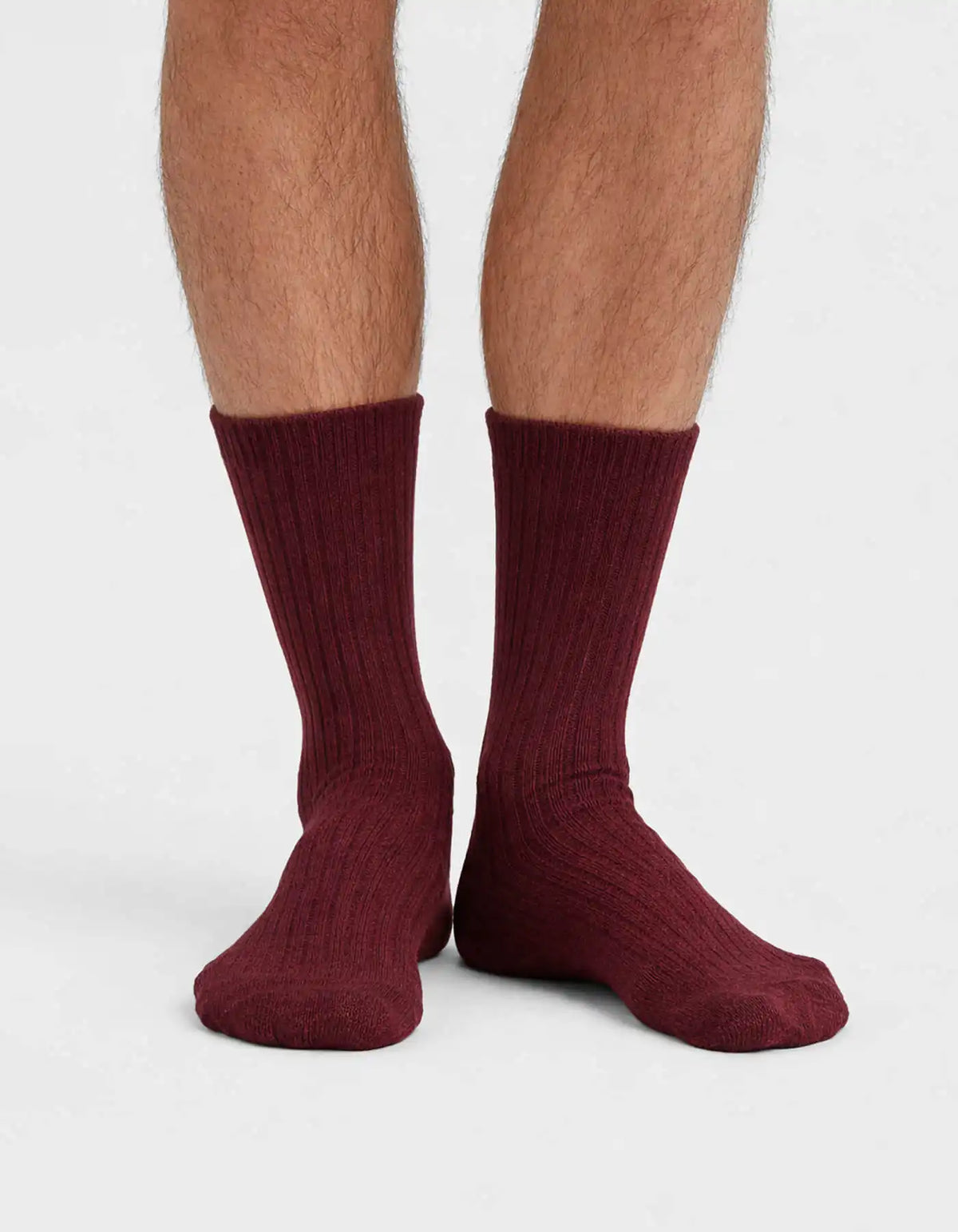 Men's Plush Lounge Calf Sock 3-Pack