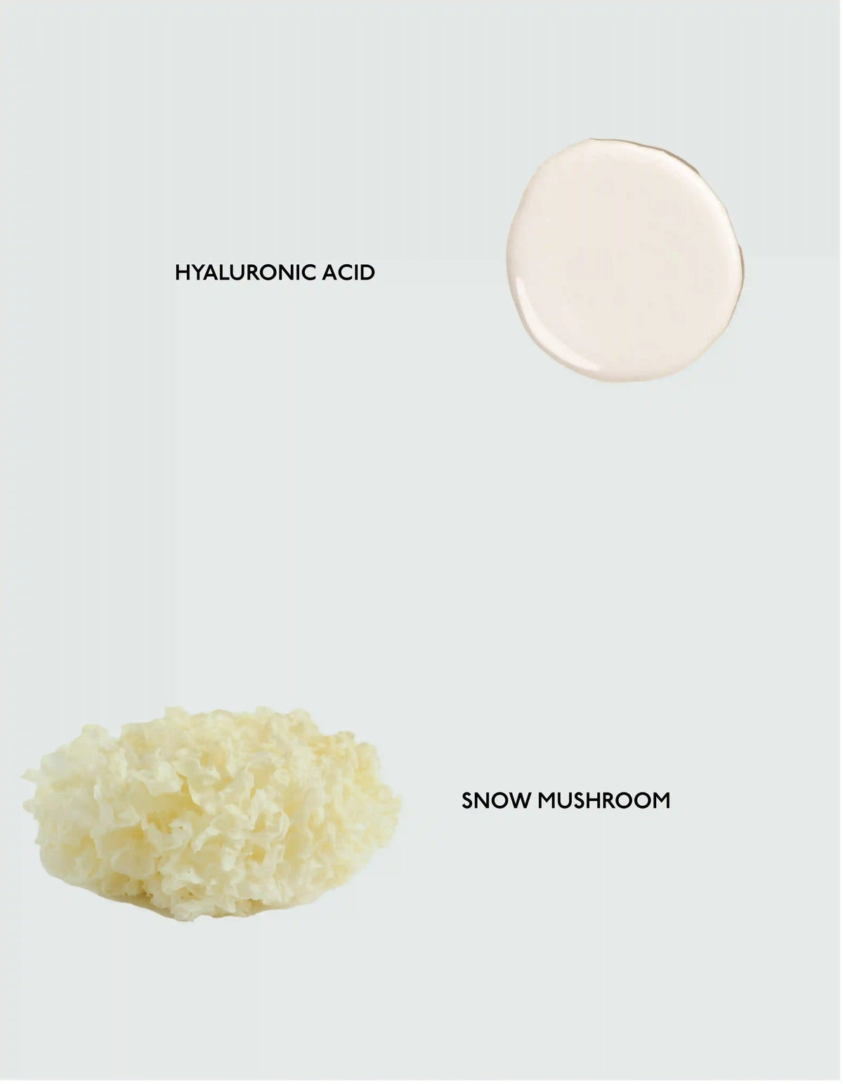 Body Serum