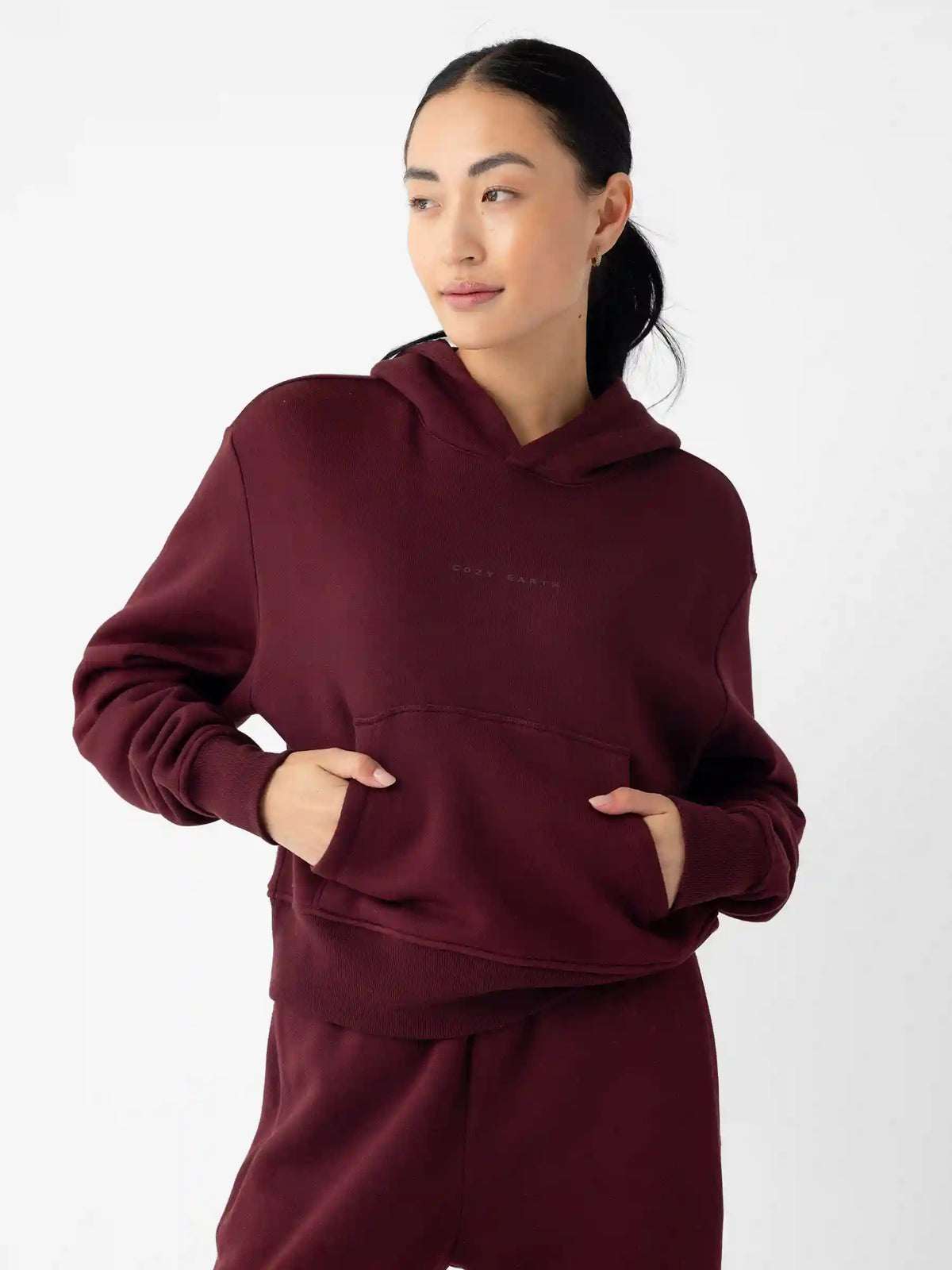 Women's CityScape 1.0 Cropped Hoodie - Last Chance