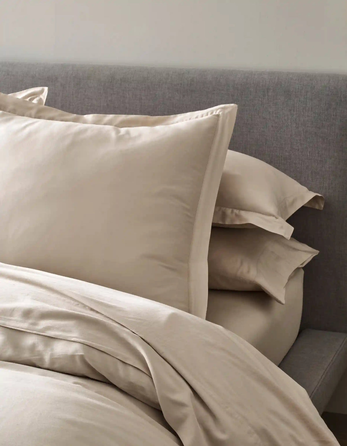 Soft-Wash Cotton Shams