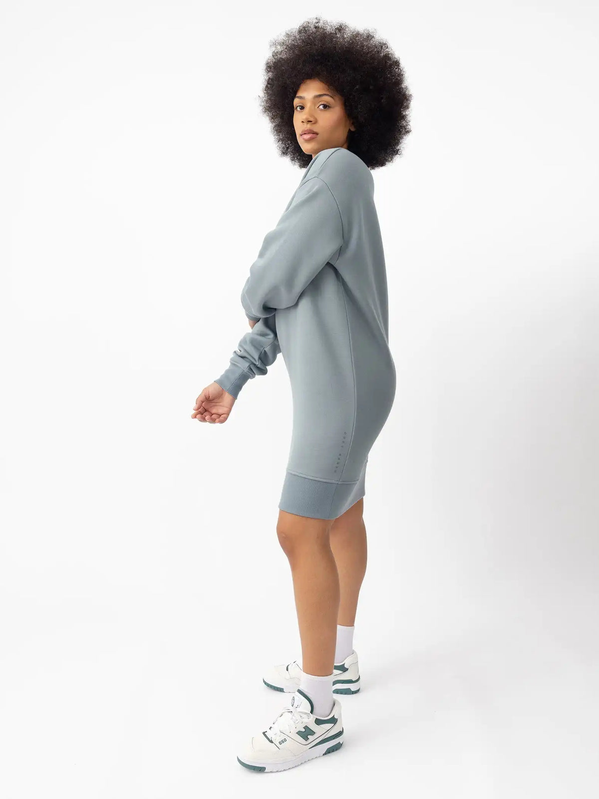 Women's CityScape 1.0 Crewneck Dress